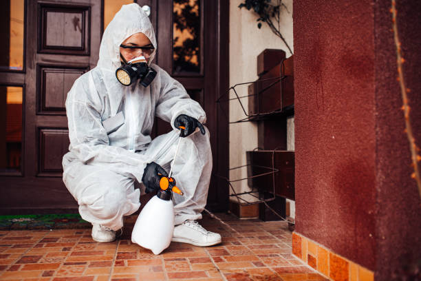Reliable Ant Control contractor in Ozona, TX by Show Me Pest Control